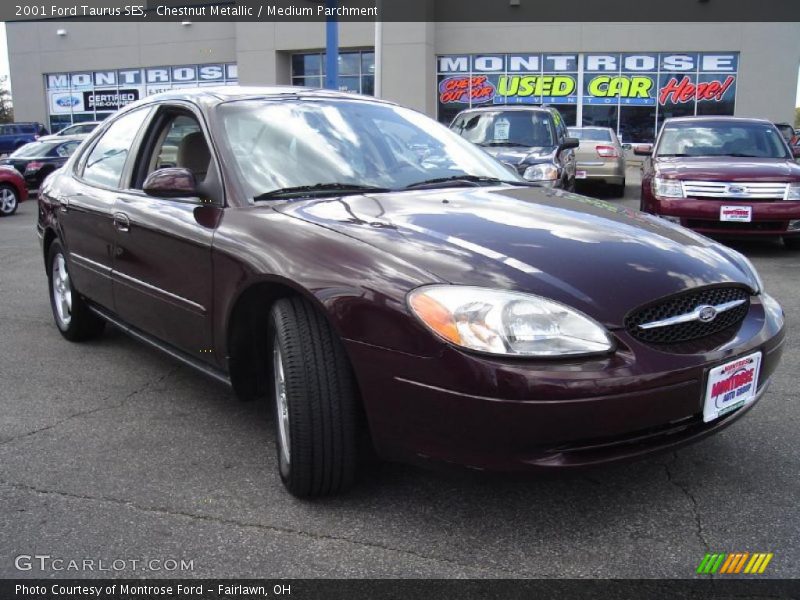Chestnut Metallic / Medium Parchment 2001 Ford Taurus SES