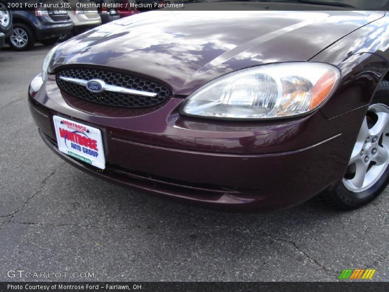 Chestnut Metallic / Medium Parchment 2001 Ford Taurus SES