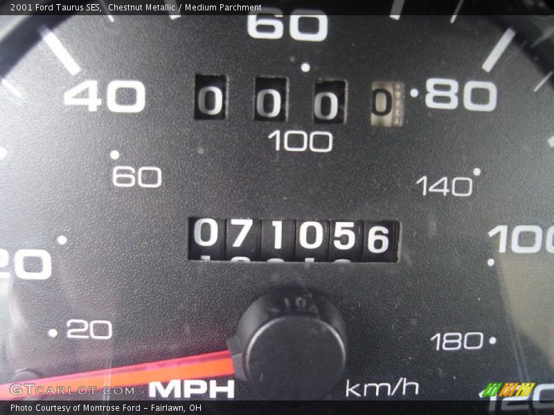 Chestnut Metallic / Medium Parchment 2001 Ford Taurus SES