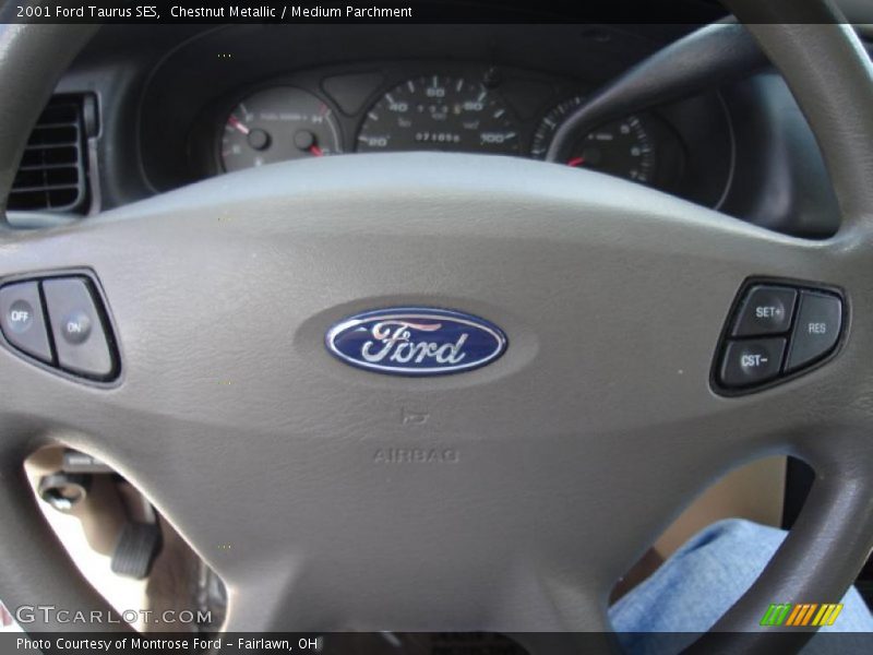 Chestnut Metallic / Medium Parchment 2001 Ford Taurus SES