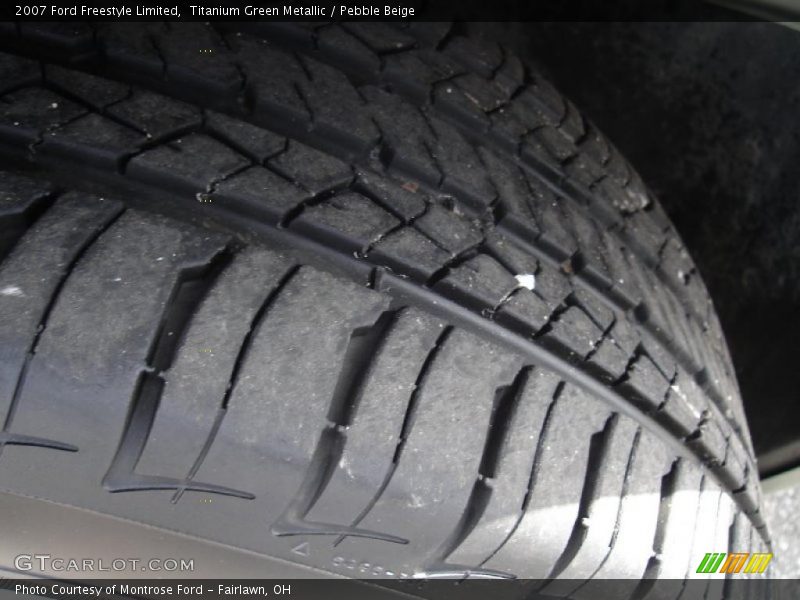 Titanium Green Metallic / Pebble Beige 2007 Ford Freestyle Limited