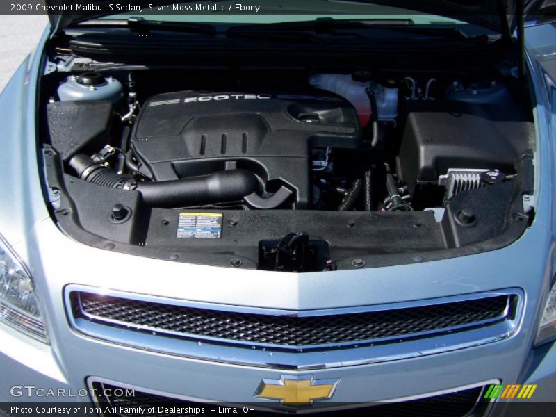 Silver Moss Metallic / Ebony 2009 Chevrolet Malibu LS Sedan