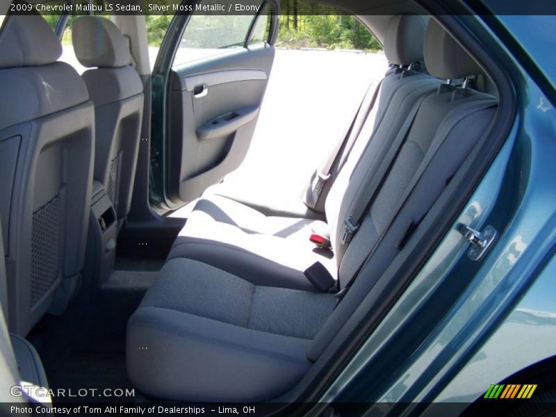 Silver Moss Metallic / Ebony 2009 Chevrolet Malibu LS Sedan