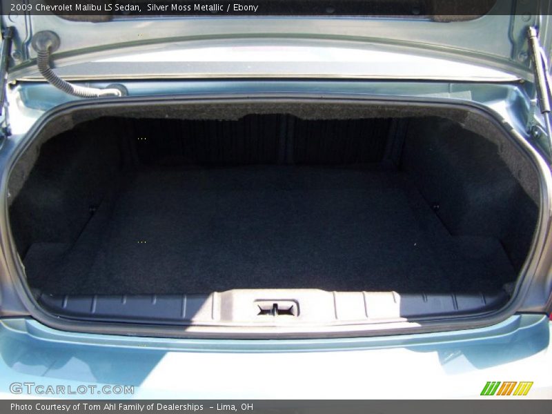 Silver Moss Metallic / Ebony 2009 Chevrolet Malibu LS Sedan