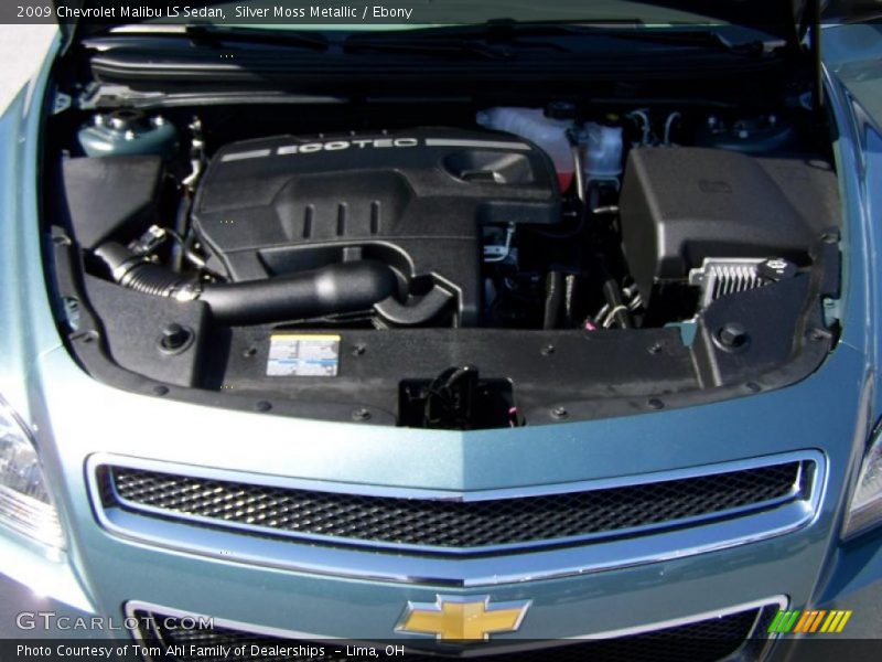 Silver Moss Metallic / Ebony 2009 Chevrolet Malibu LS Sedan
