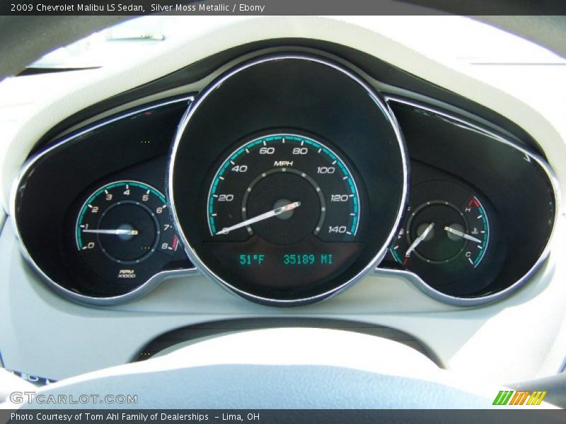 Silver Moss Metallic / Ebony 2009 Chevrolet Malibu LS Sedan