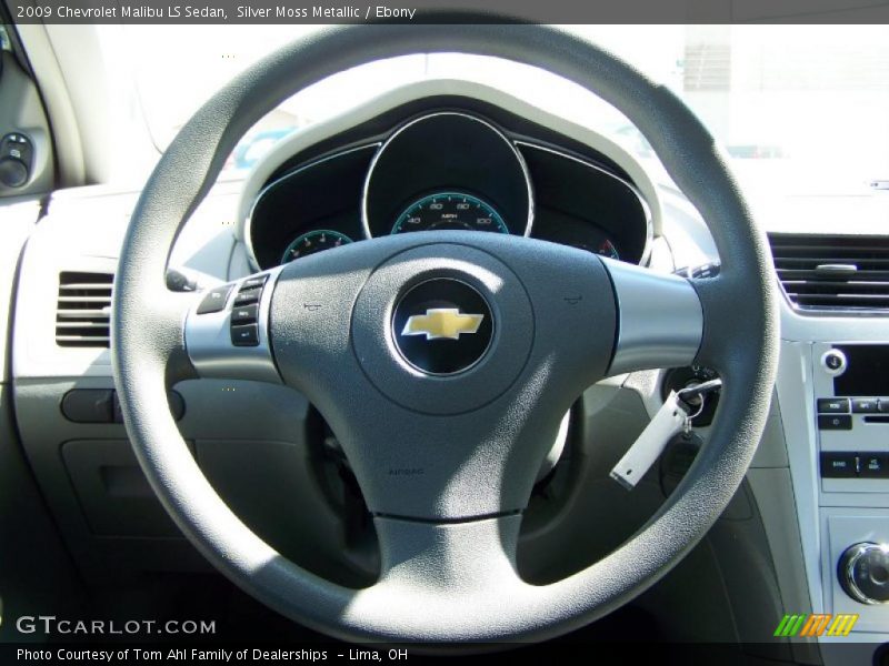 Silver Moss Metallic / Ebony 2009 Chevrolet Malibu LS Sedan