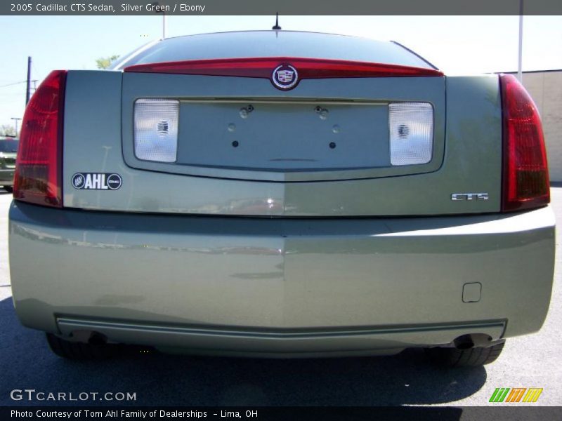 Silver Green / Ebony 2005 Cadillac CTS Sedan