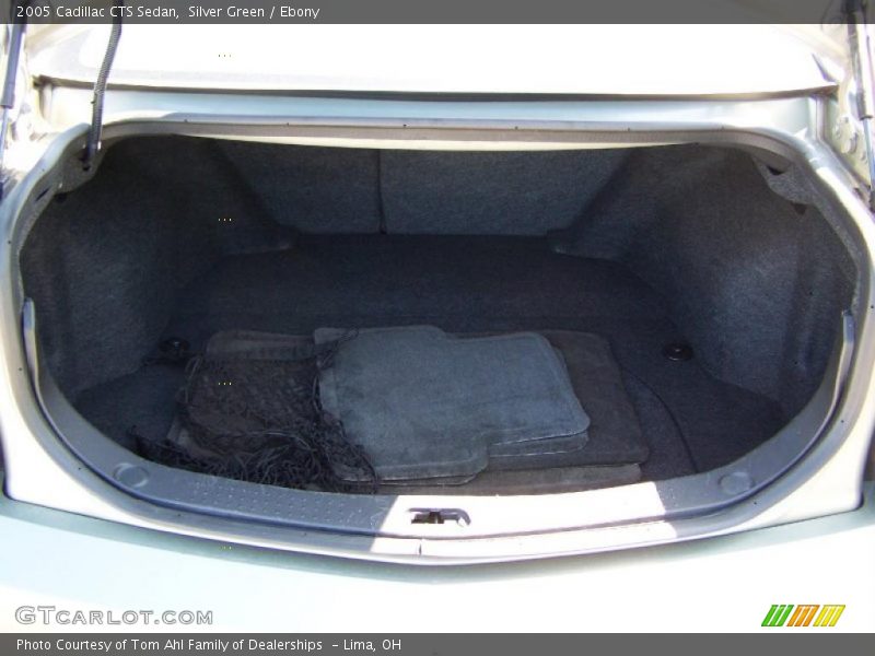 Silver Green / Ebony 2005 Cadillac CTS Sedan