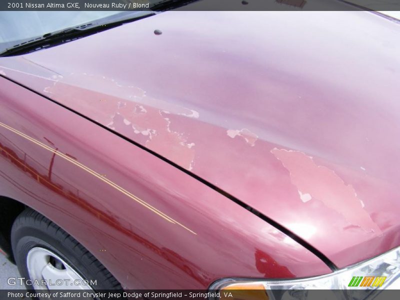Nouveau Ruby / Blond 2001 Nissan Altima GXE