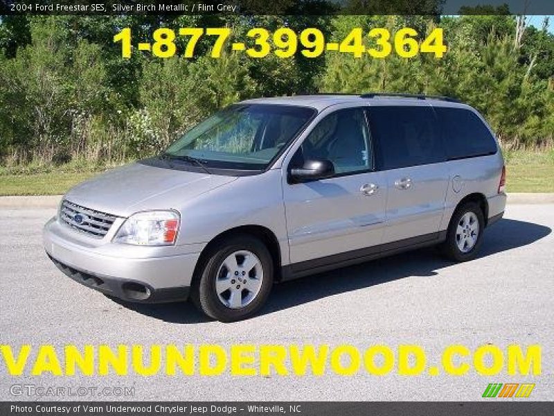 Silver Birch Metallic / Flint Grey 2004 Ford Freestar SES