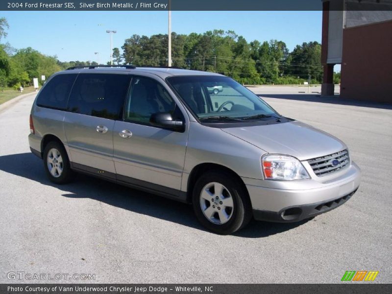 Silver Birch Metallic / Flint Grey 2004 Ford Freestar SES