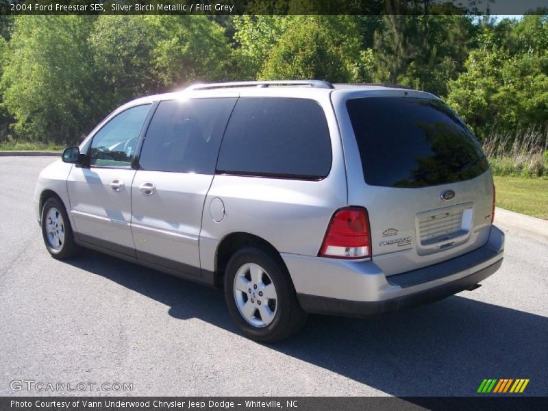Silver Birch Metallic / Flint Grey 2004 Ford Freestar SES