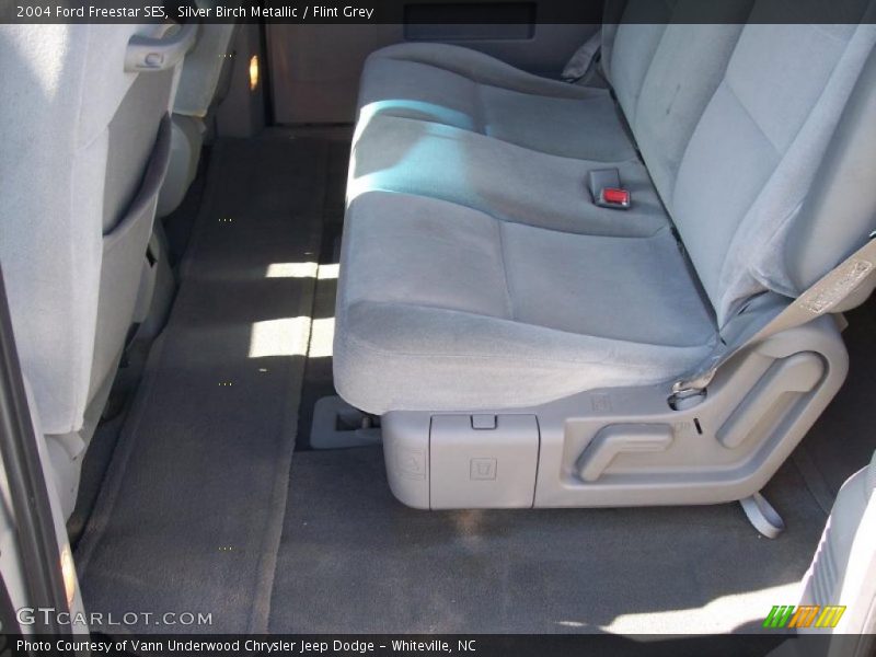 Silver Birch Metallic / Flint Grey 2004 Ford Freestar SES