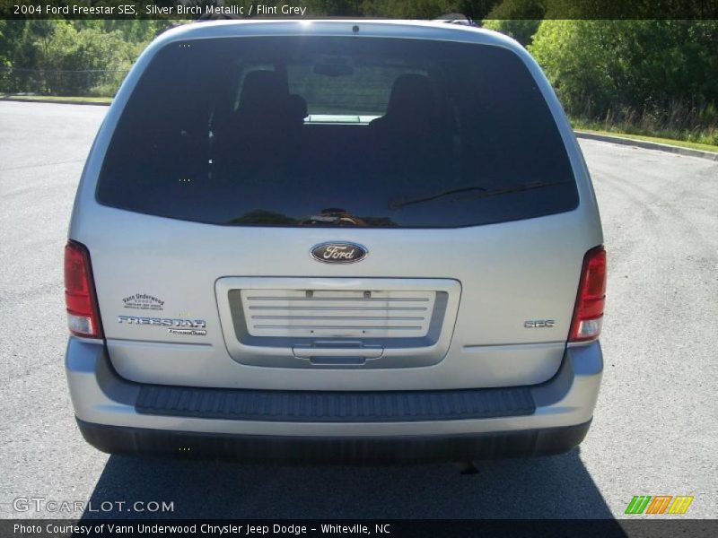 Silver Birch Metallic / Flint Grey 2004 Ford Freestar SES