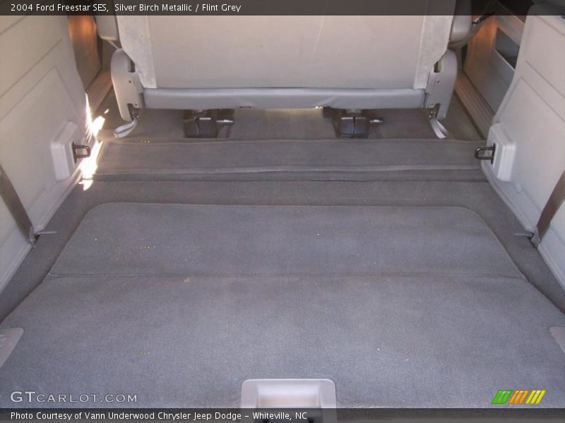 Silver Birch Metallic / Flint Grey 2004 Ford Freestar SES