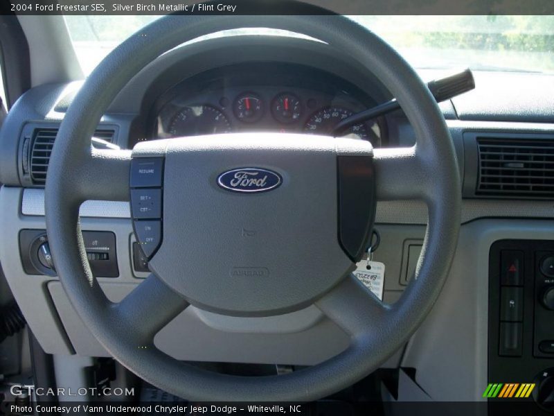 Silver Birch Metallic / Flint Grey 2004 Ford Freestar SES