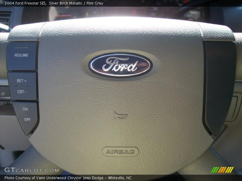 Silver Birch Metallic / Flint Grey 2004 Ford Freestar SES