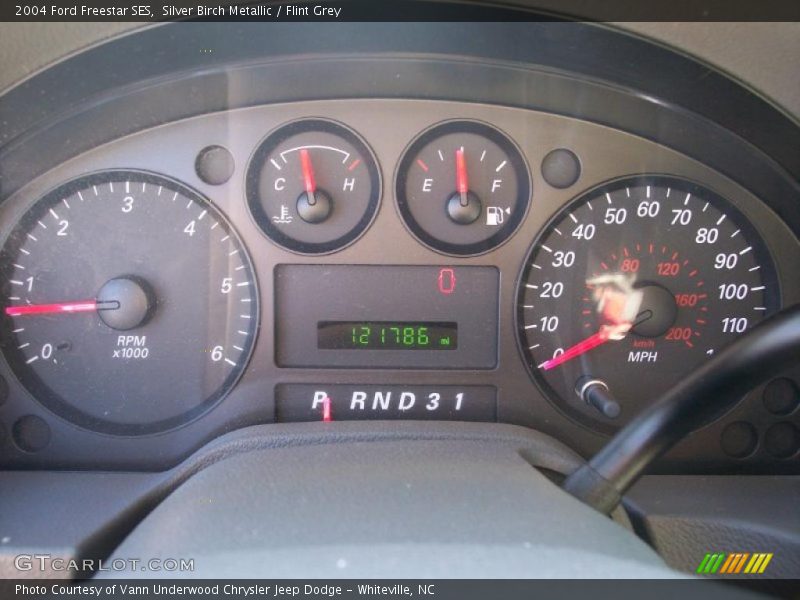 Silver Birch Metallic / Flint Grey 2004 Ford Freestar SES