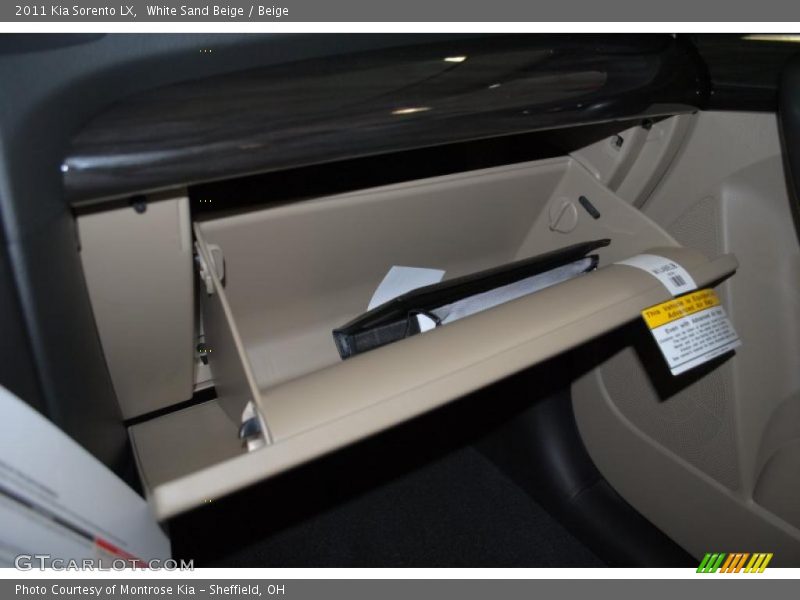 White Sand Beige / Beige 2011 Kia Sorento LX