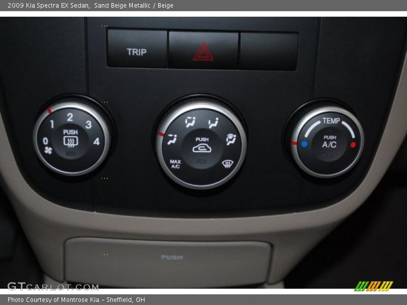 Sand Beige Metallic / Beige 2009 Kia Spectra EX Sedan