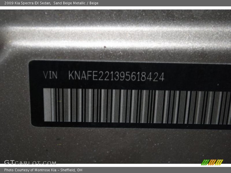 Sand Beige Metallic / Beige 2009 Kia Spectra EX Sedan