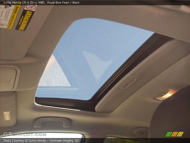 Royal Blue Pearl / Black 2009 Honda CR-V EX-L 4WD