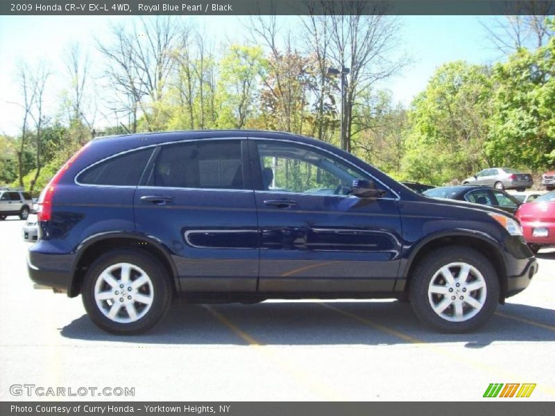 Royal Blue Pearl / Black 2009 Honda CR-V EX-L 4WD