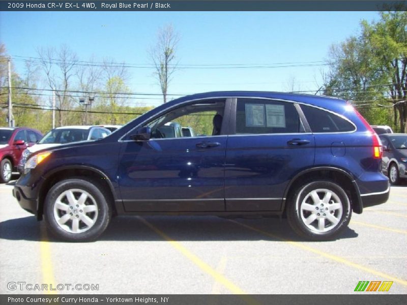 Royal Blue Pearl / Black 2009 Honda CR-V EX-L 4WD
