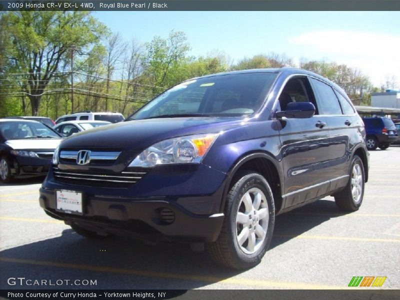 Royal Blue Pearl / Black 2009 Honda CR-V EX-L 4WD