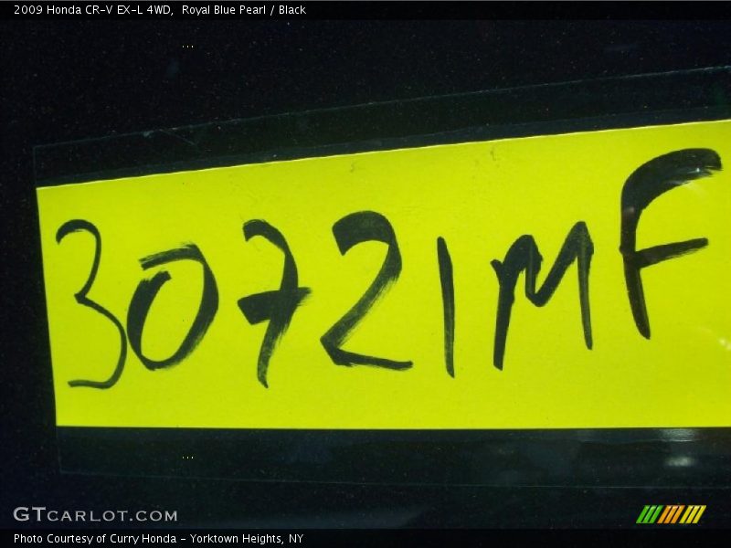 Royal Blue Pearl / Black 2009 Honda CR-V EX-L 4WD