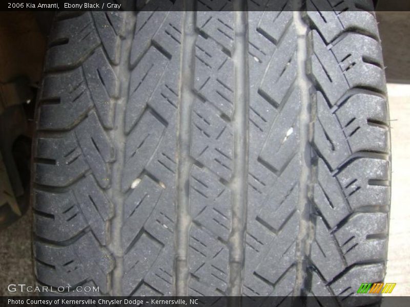 Ebony Black / Gray 2006 Kia Amanti