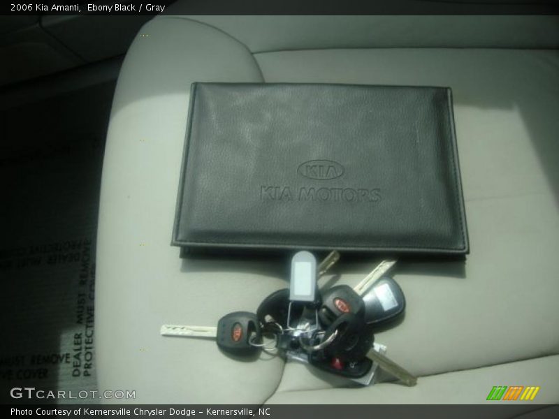 Ebony Black / Gray 2006 Kia Amanti