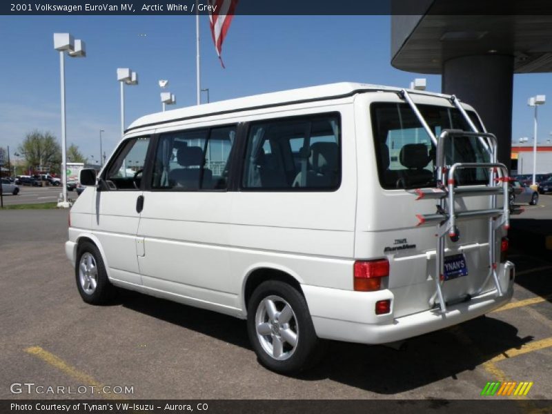 Arctic White / Grey 2001 Volkswagen EuroVan MV