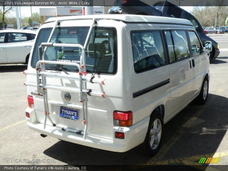 Arctic White / Grey 2001 Volkswagen EuroVan MV