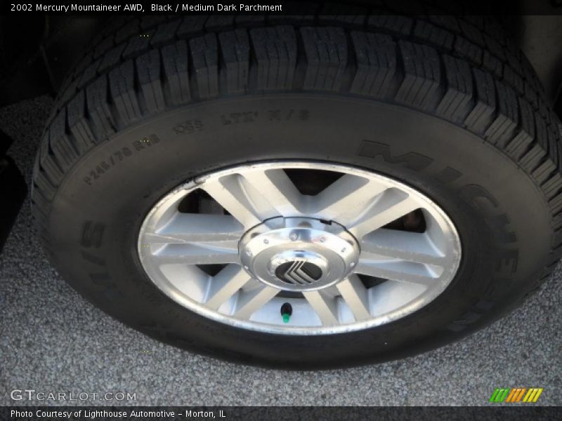 Black / Medium Dark Parchment 2002 Mercury Mountaineer AWD