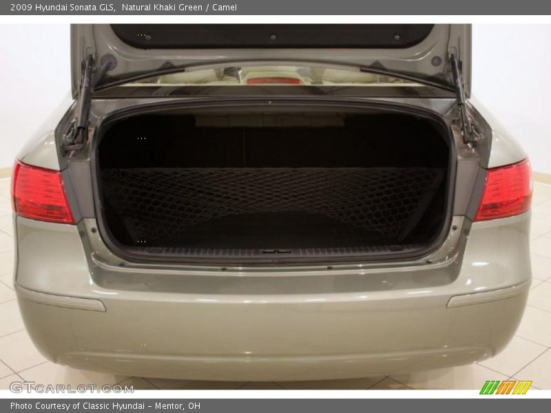 Natural Khaki Green / Camel 2009 Hyundai Sonata GLS