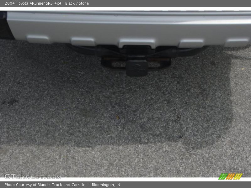 Black / Stone 2004 Toyota 4Runner SR5 4x4