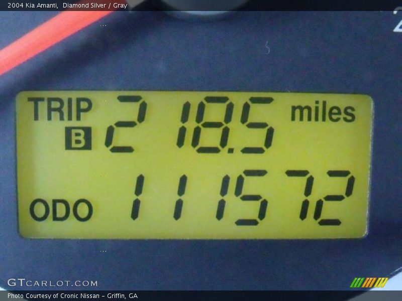 Diamond Silver / Gray 2004 Kia Amanti