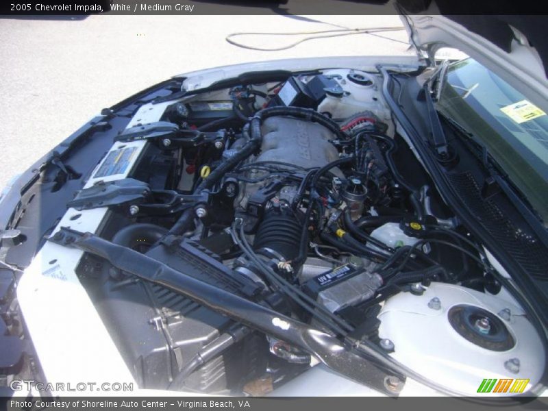 White / Medium Gray 2005 Chevrolet Impala