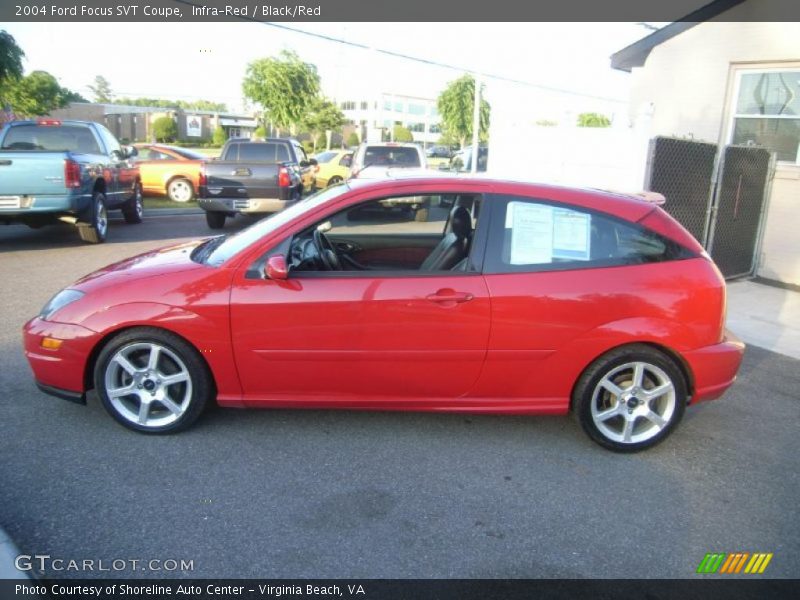 Infra-Red / Black/Red 2004 Ford Focus SVT Coupe