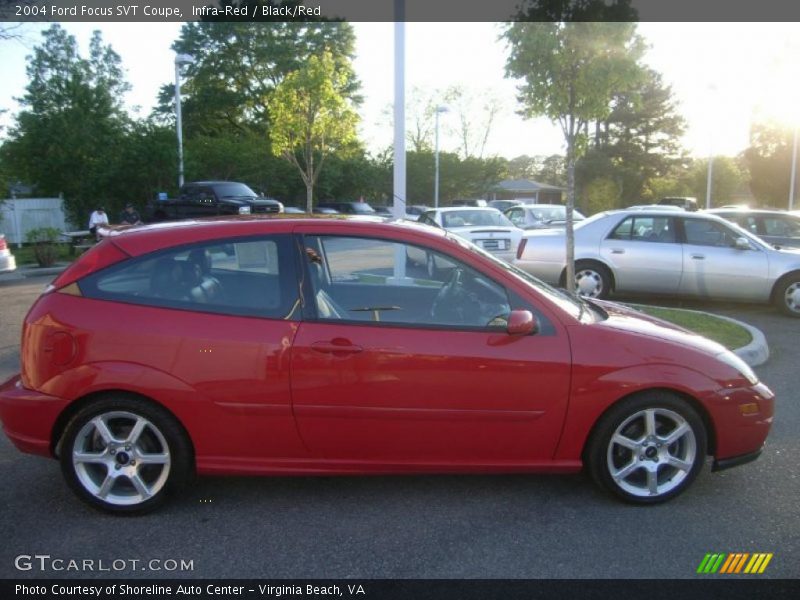 Infra-Red / Black/Red 2004 Ford Focus SVT Coupe