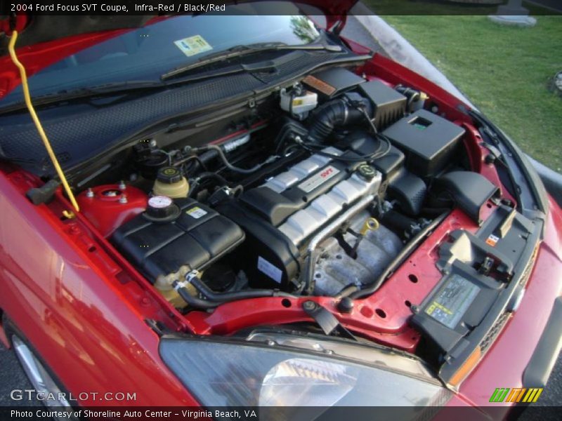 Infra-Red / Black/Red 2004 Ford Focus SVT Coupe