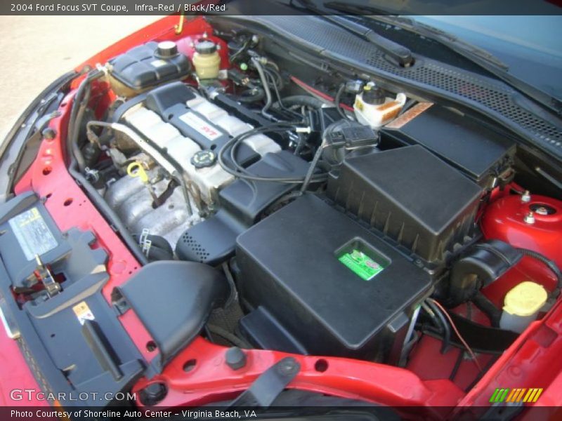 Infra-Red / Black/Red 2004 Ford Focus SVT Coupe