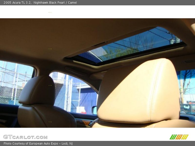 Nighthawk Black Pearl / Camel 2005 Acura TL 3.2