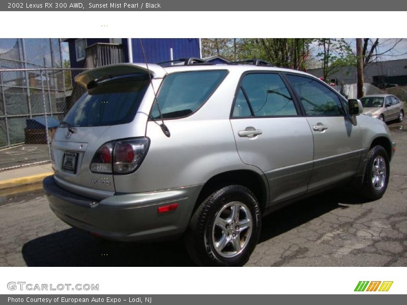 Sunset Mist Pearl / Black 2002 Lexus RX 300 AWD