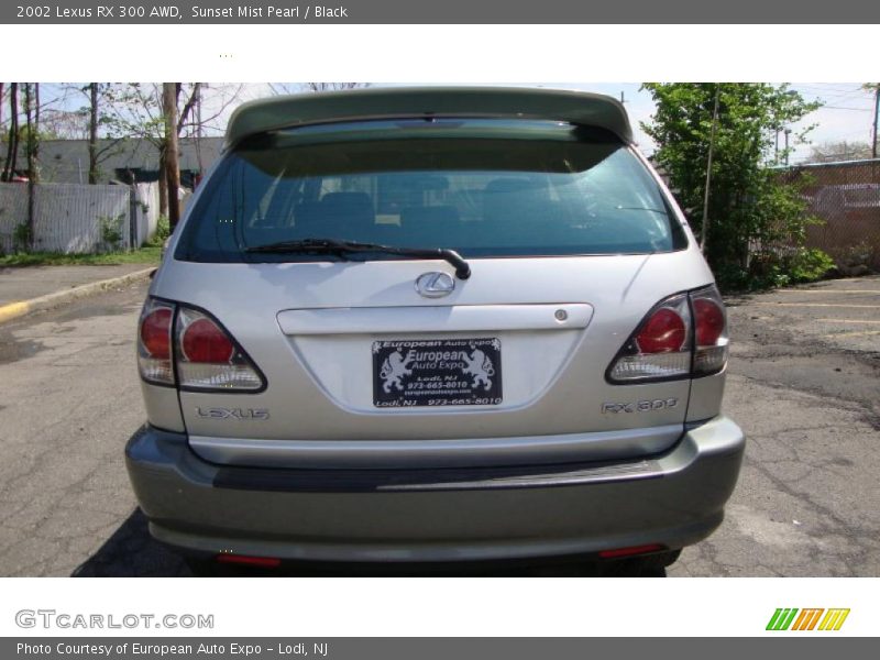 Sunset Mist Pearl / Black 2002 Lexus RX 300 AWD