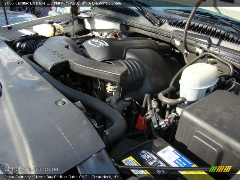 White Diamond / Shale 2005 Cadillac Escalade ESV Platinum AWD
