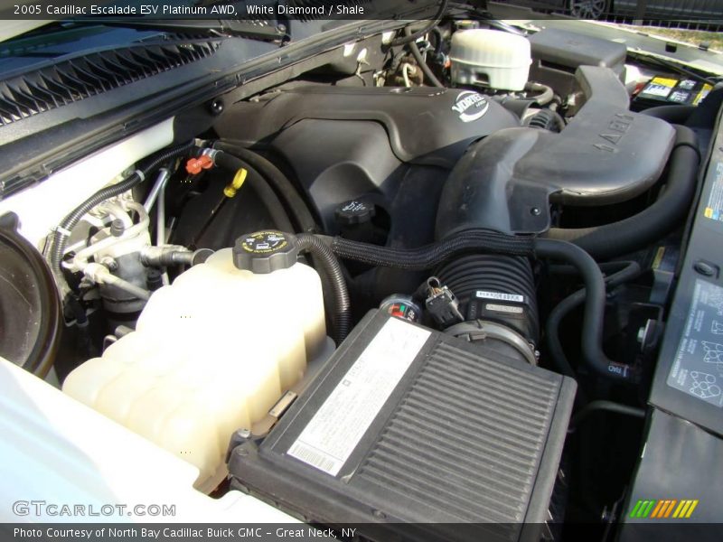 White Diamond / Shale 2005 Cadillac Escalade ESV Platinum AWD