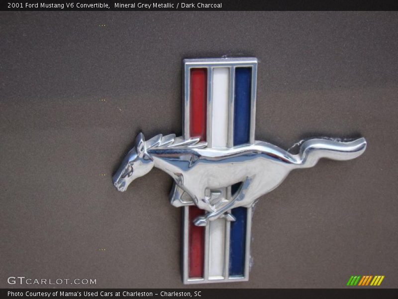 Mineral Grey Metallic / Dark Charcoal 2001 Ford Mustang V6 Convertible